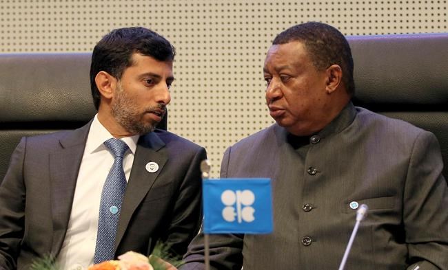 OPEC delays oil output decision pending Russia talks | iNFOnews.ca