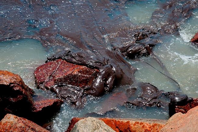 Brazilian state declares state of emergency over oil spills | iNFOnews.ca