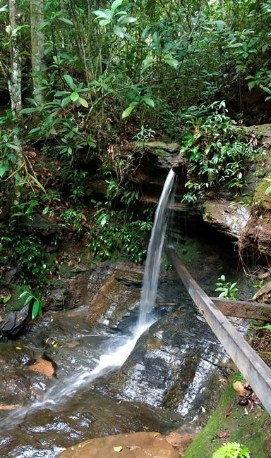 Japanese woman killed in Brazil died from blow to the head | iNFOnews.ca Japanese woman killed in Brazil died from blow to the head | iNFOnews.ca