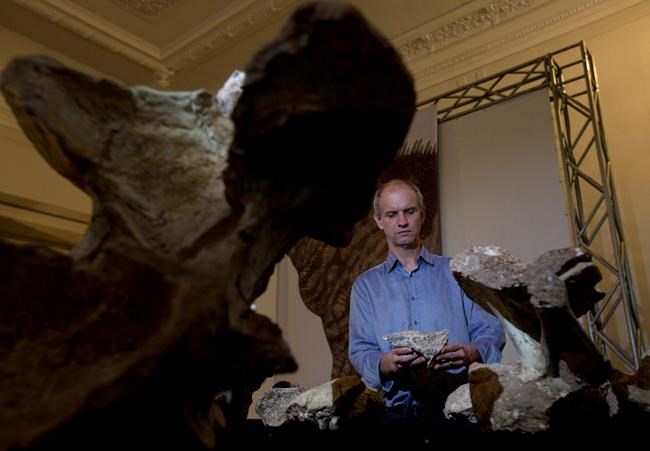 Scientists announce discovery of Brazil's largest dinosaur | iNFOnews.ca Scientists announce discovery of Brazil's largest dinosaur | iNFOnews.ca
