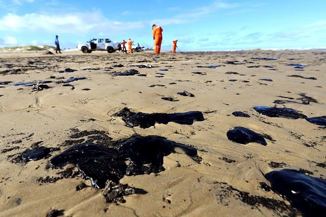 Brazil prosecutors demand government plan for oil spill | iNFOnews.ca