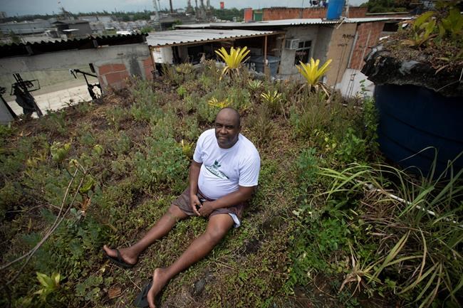 Rio residents try to bring green to a concrete jungle | iNFOnews.ca