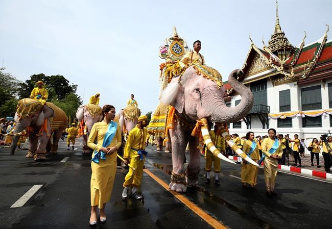 Elephants kneel in ritual tribute to Thailand's new king | iNFOnews.ca