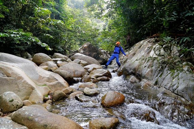 Malaysian trackers use mom's voice in London girl's search | iNFOnews.ca