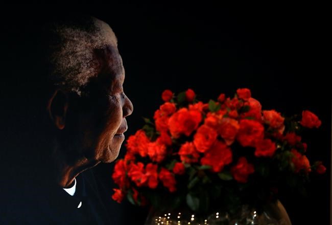 Nelson Mandela rose makes debut ahead of Valentine's Day | iNFOnews.ca