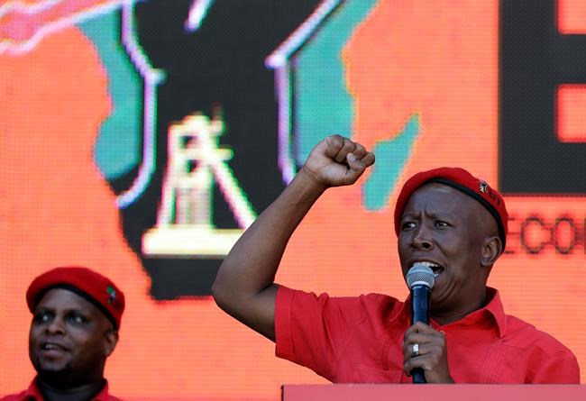 South Africa's populist party takes aim at ruling ANC | iNFOnews.ca South Africa's populist party takes aim at ruling ANC | iNFOnews.ca