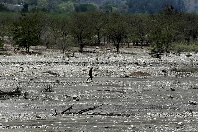 Official vows action after AP reports missing migrant girls | iNFOnews.ca