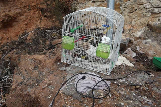 Dolls, bicycles among charred belongings from Greek blaze | iNFOnews.ca Dolls, bicycles among charred belongings from Greek blaze | iNFOnews.ca