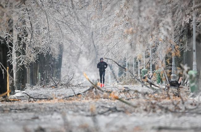 Freezing rain downs 800 trees, delays flights in Romania | iNFOnews.ca Freezing rain downs 800 trees, delays flights in Romania | iNFOnews.ca