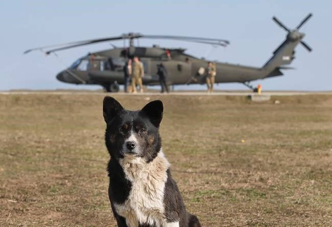 Romanian, US troops train together in NATO support operation | iNFOnews.ca