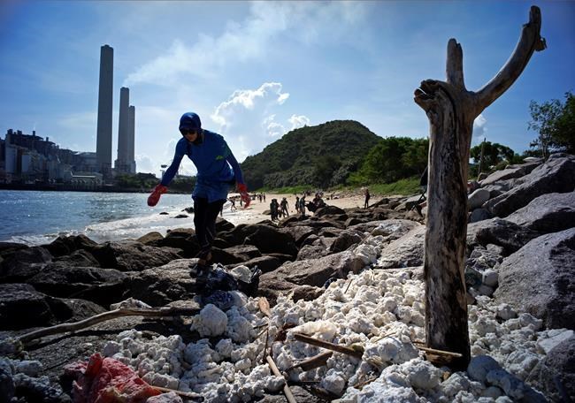 Palm oil blobs cover Hong Kong beaches after sea crash | iNFOnews.ca