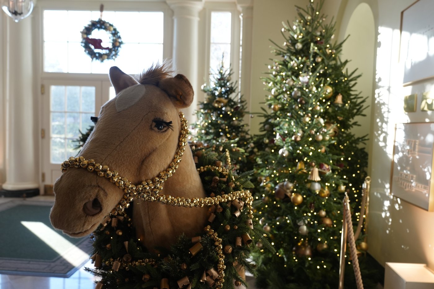 It's the final holiday stretch at the Biden White House. The theme is 'A Season of Peace and Light' | iNFOnews.ca