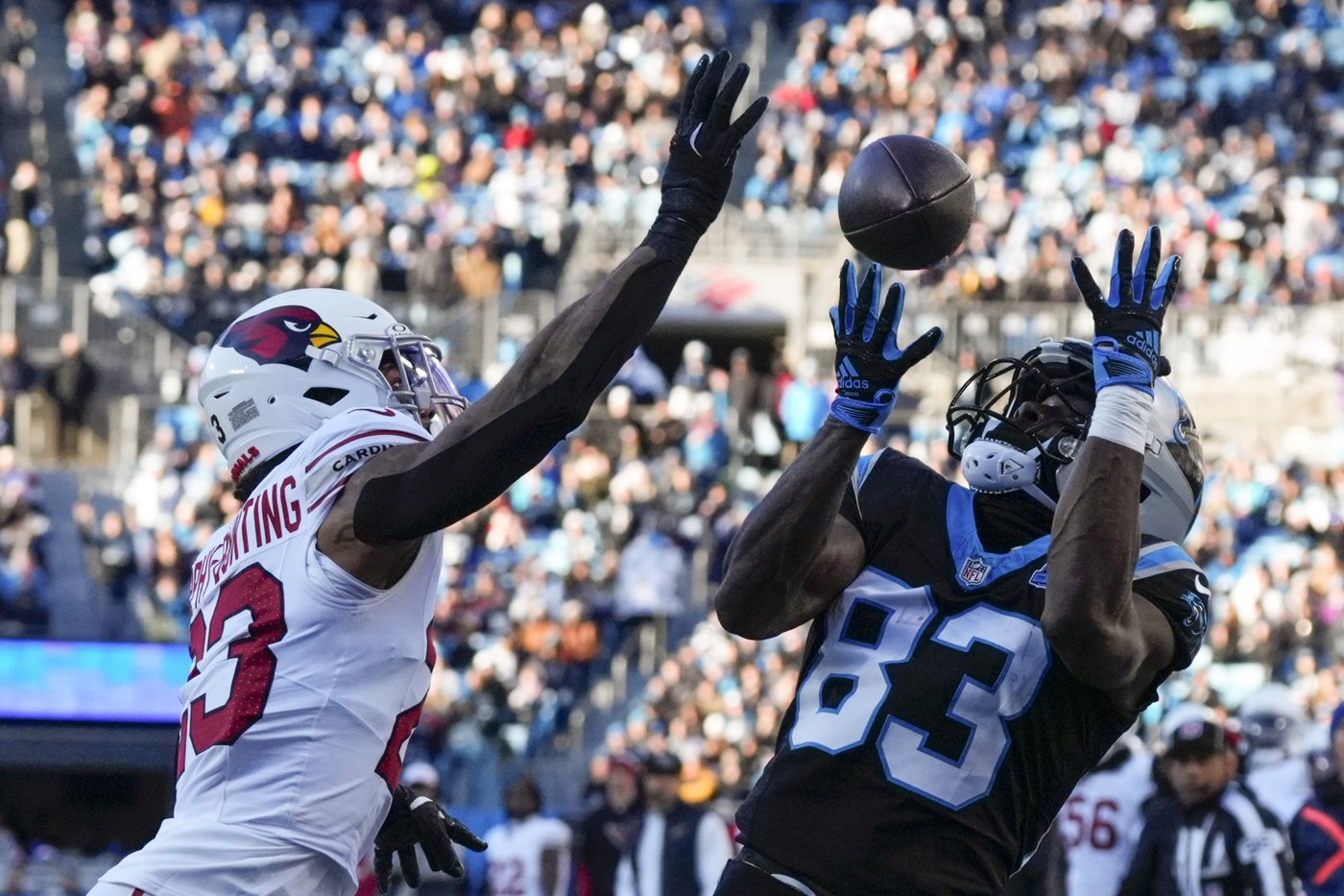 Panthers eliminate Cardinals from playoffs on Hubbard's TD run in overtime for 36-30 win | iNFOnews.ca