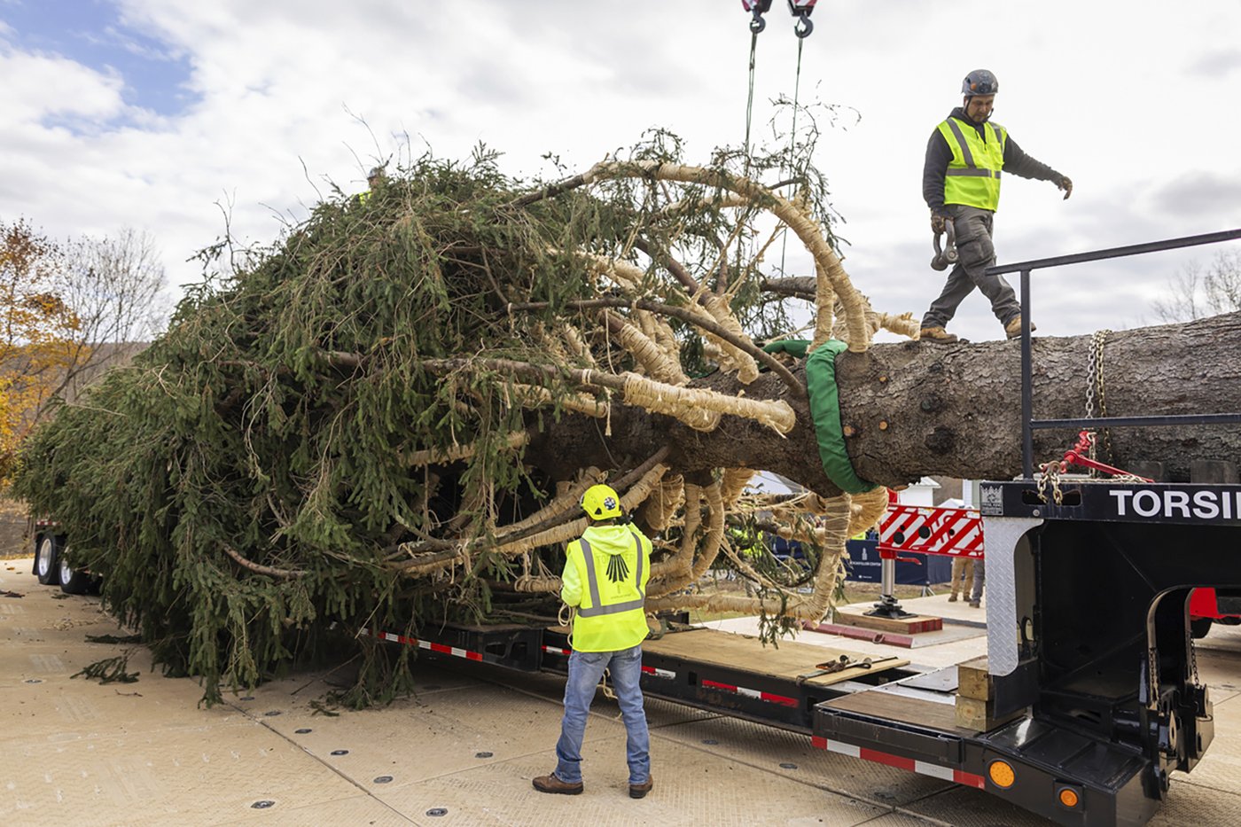 A green giant: This year's 74-foot Rockefeller Center Christmas tree is en route from Massachusetts | iNFOnews.ca