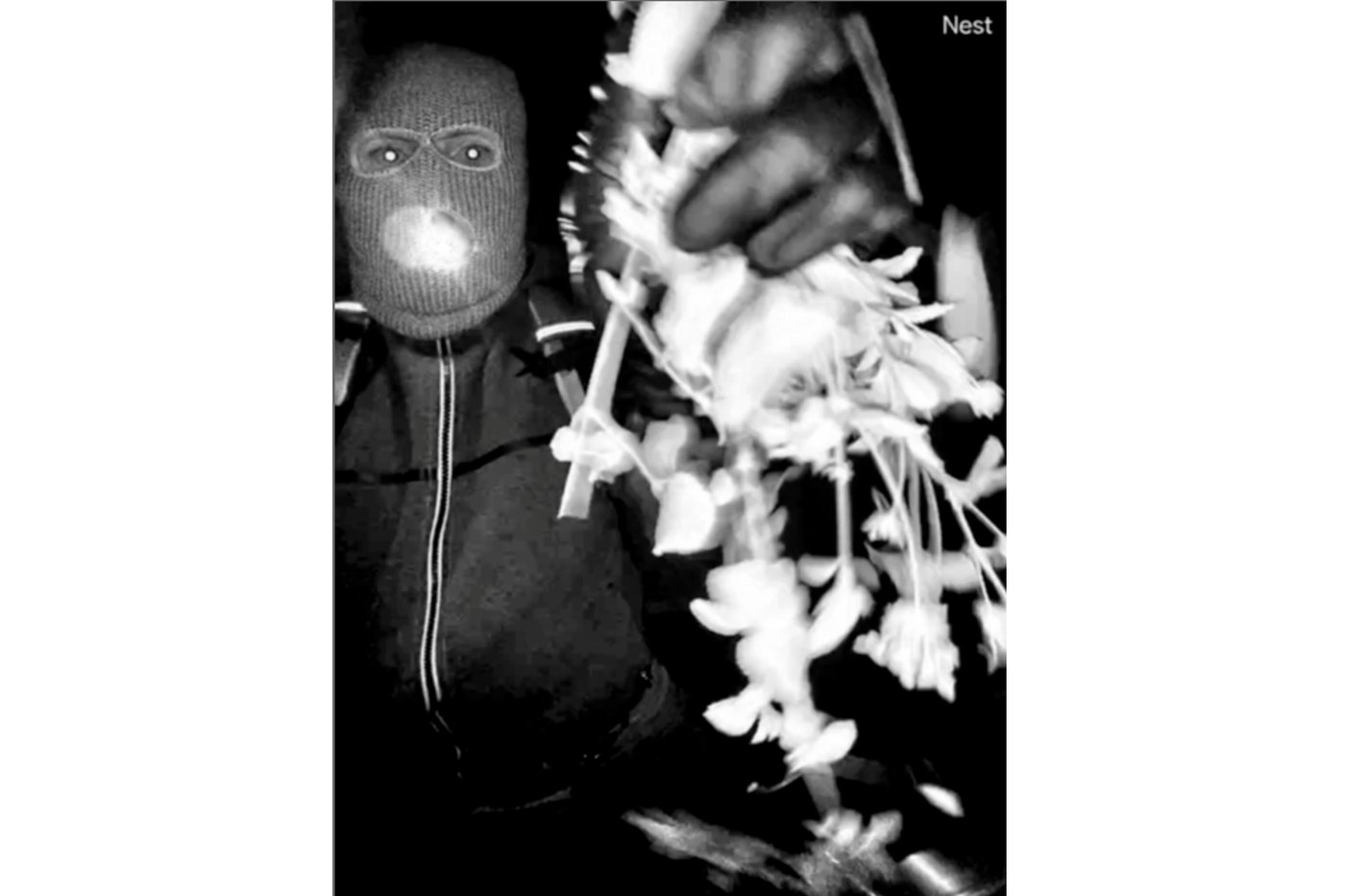 What to know about Nancy Guthrie's kidnapping and the race to find her | iNFOnews.ca