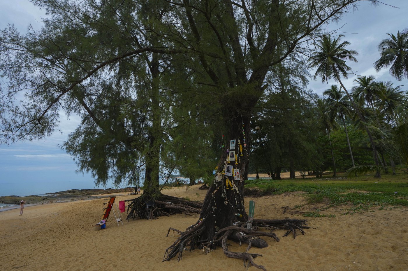 Trauma lingers on for survivors of the deadly tsunami that hit Thailand 20 years ago | iNFOnews.ca