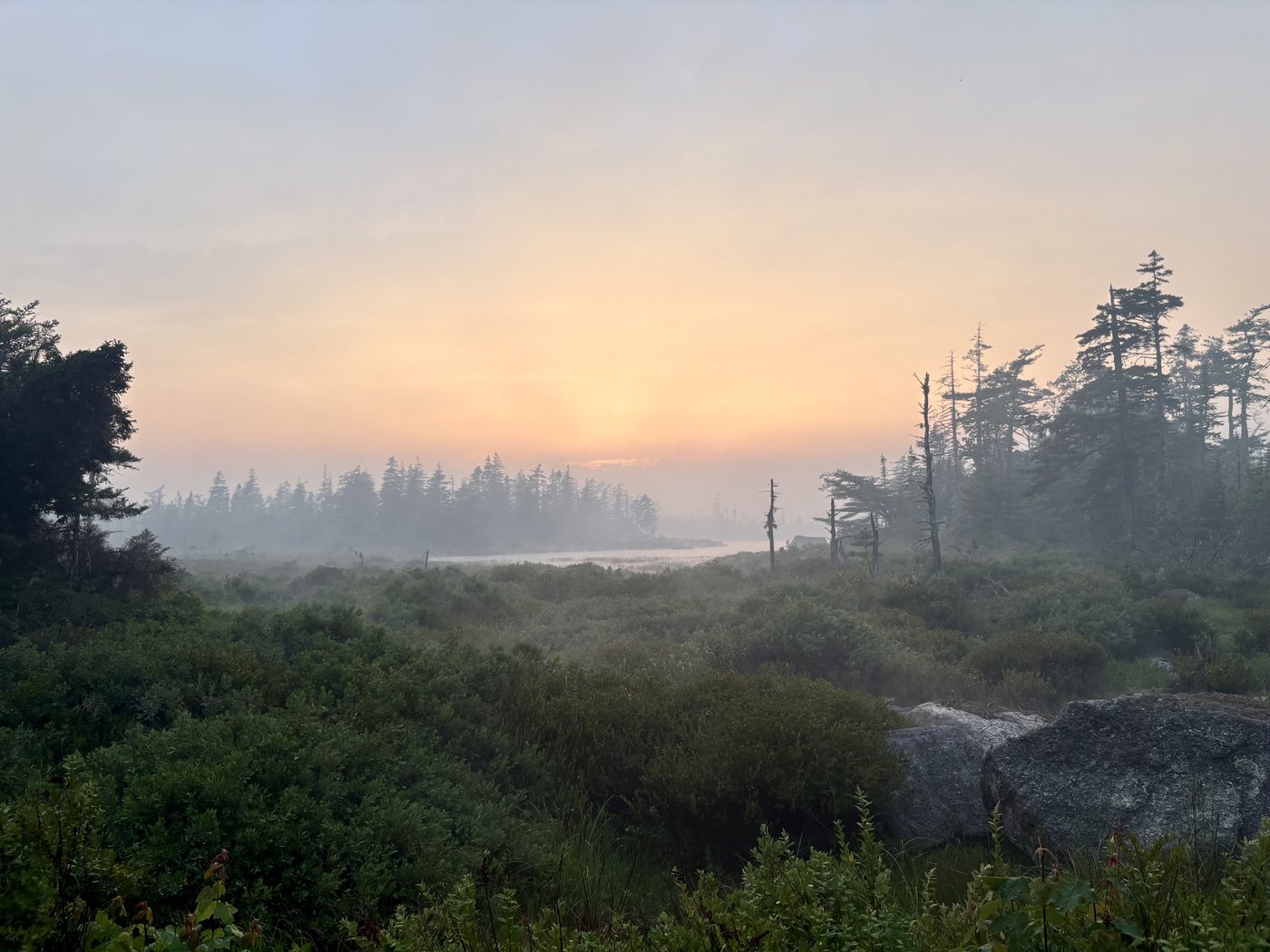 A look at the nearly 1000 active wildfires scorching Canada | iNFOnews.ca