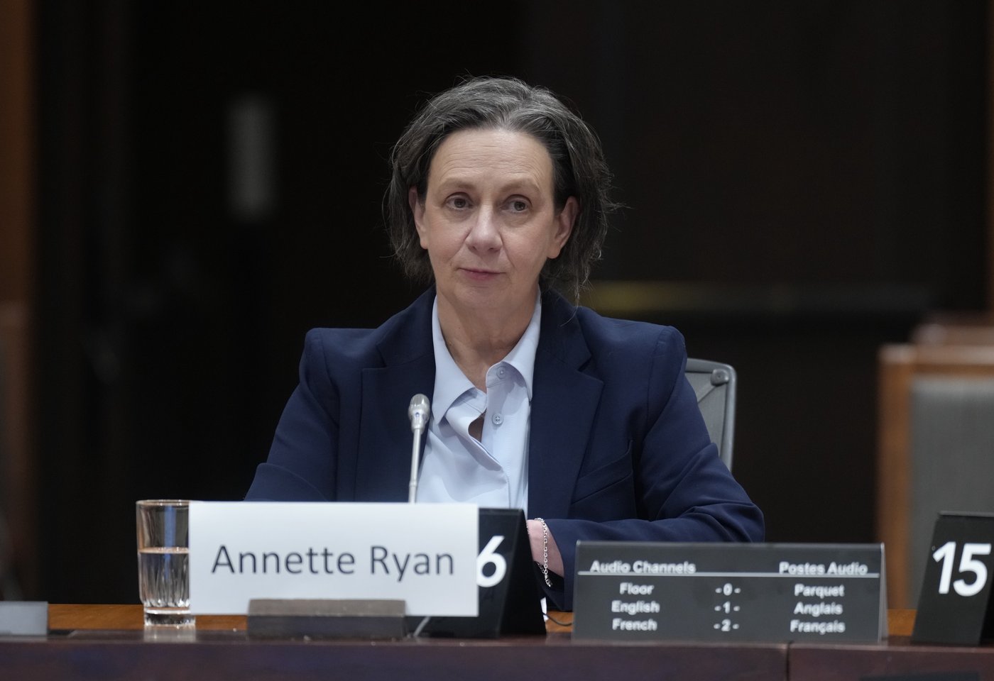 Budget watchdog nominee promises 'pointy analysis' as MPs question independence | iNFOnews.ca