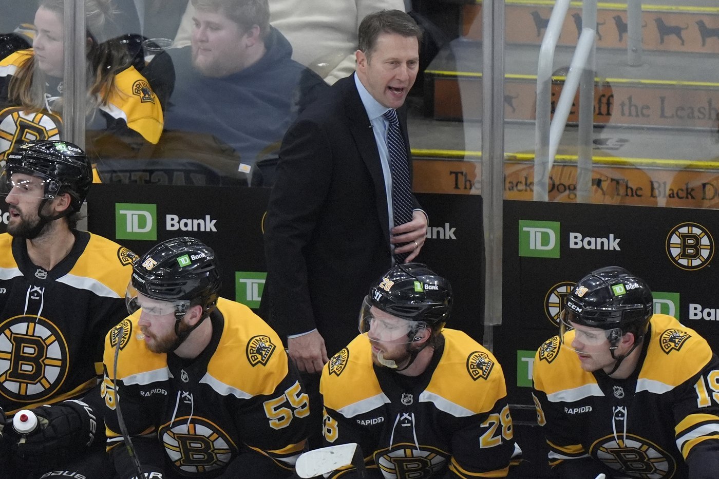 Sacco soaks up the experience in his 1st game as Bruins interim coach | iNFOnews.ca Sacco soaks up the experience in his 1st game as Bruins interim coach | iNFOnews.ca
