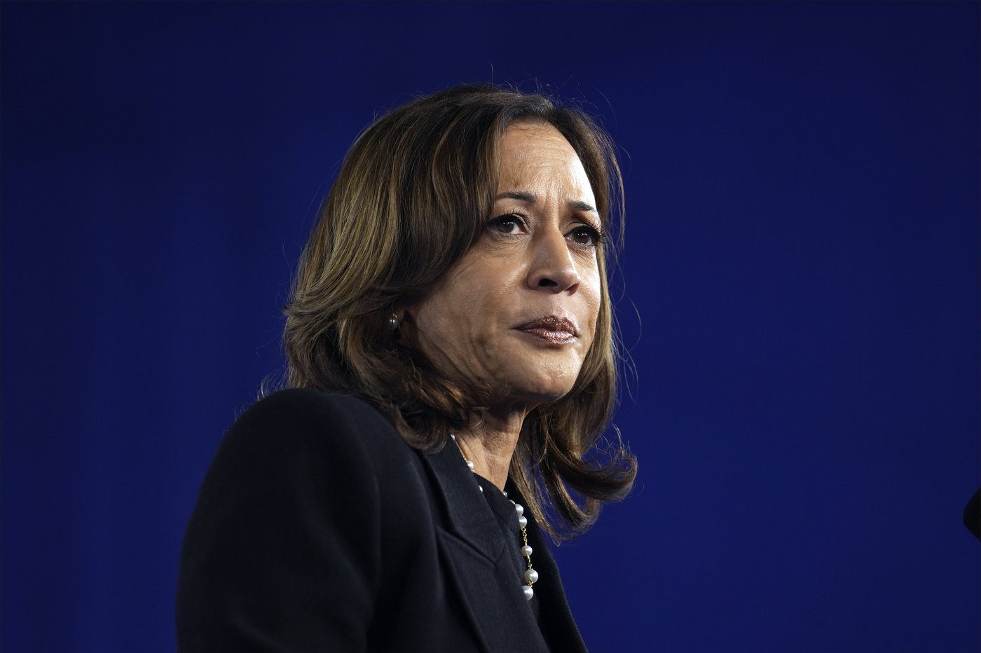 Harris tries to turn Gaza protests into a way to energize the crowds at her rallies | iNFOnews.ca