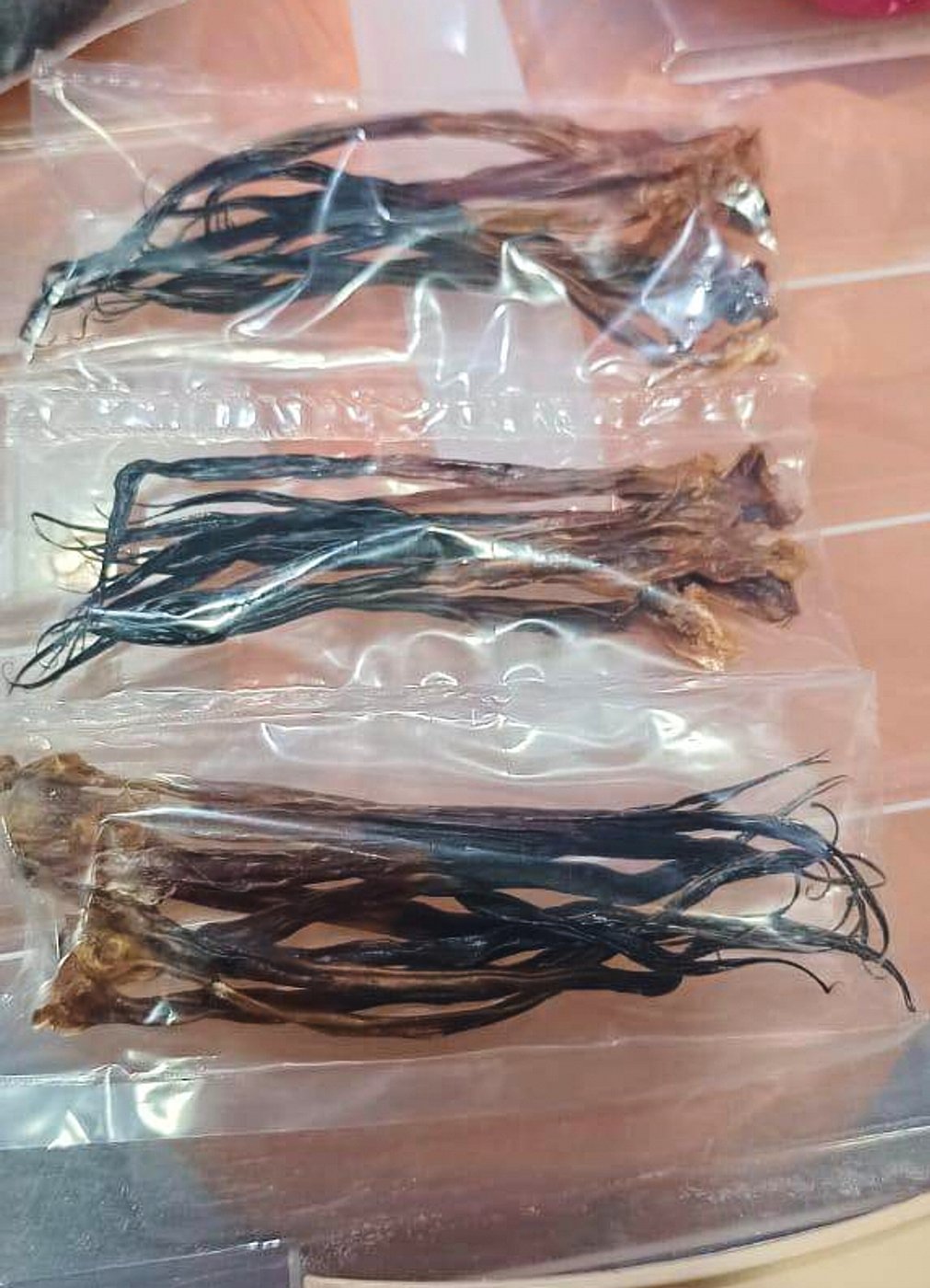 Vietnamese man pleads guilty to possessing protected python parts in Malaysia | iNFOnews.ca Vietnamese man pleads guilty to possessing protected python parts in Malaysia | iNFOnews.ca