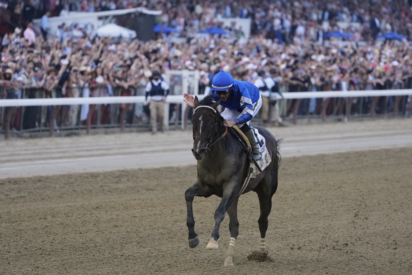 Sovereignty beats Journalism to win the Belmont Stakes at Saratoga | iNFOnews.ca Sovereignty beats Journalism to win the Belmont Stakes at Saratoga | iNFOnews.ca