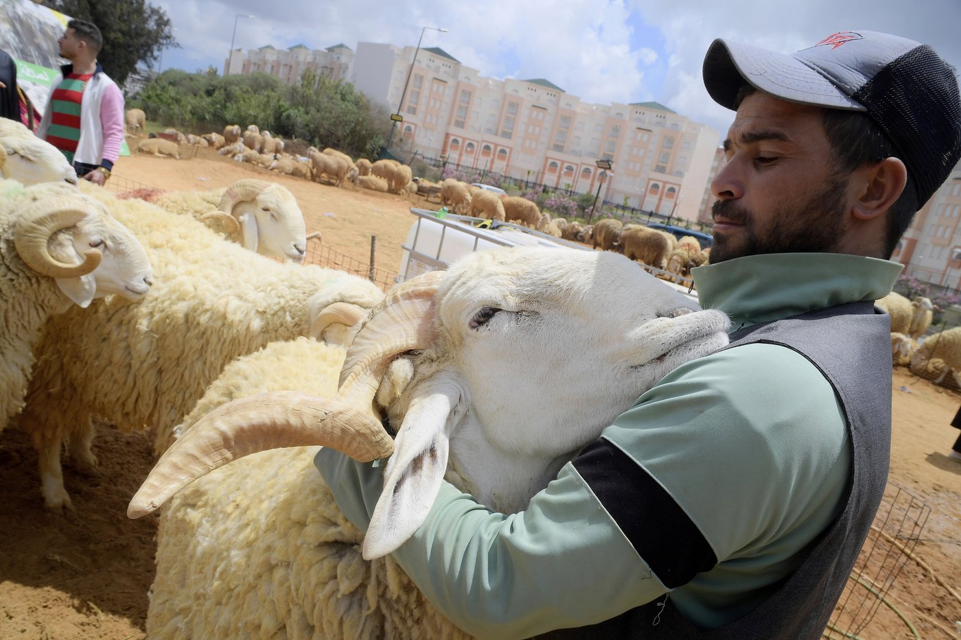 PHOTO COLLECTION: Eid al-Adha | iNFOnews.ca PHOTO COLLECTION: Eid al-Adha | iNFOnews.ca
