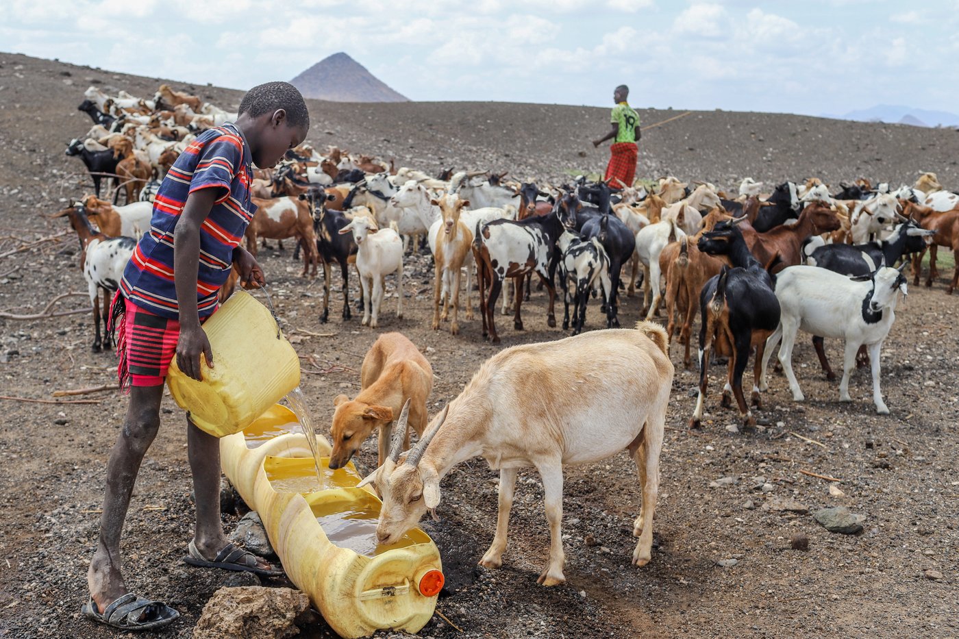 Photos show hunger and water scarcity as drought grips northern Kenya | iNFOnews.ca