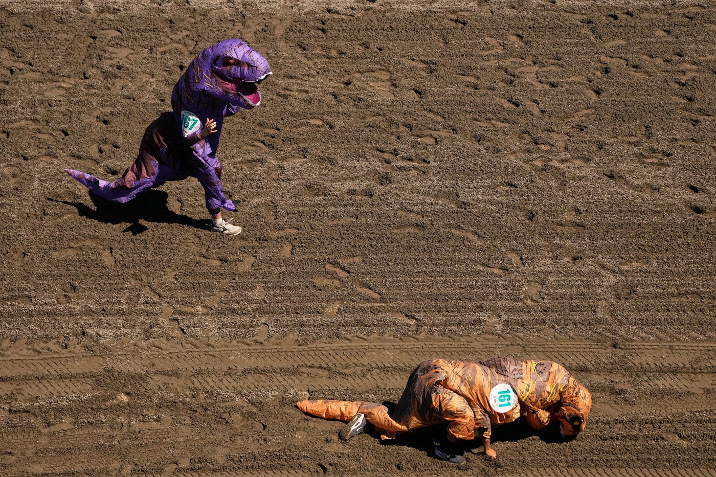 Inflatable dinosaurs race at Emerald Downs, in photos | iNFOnews.ca