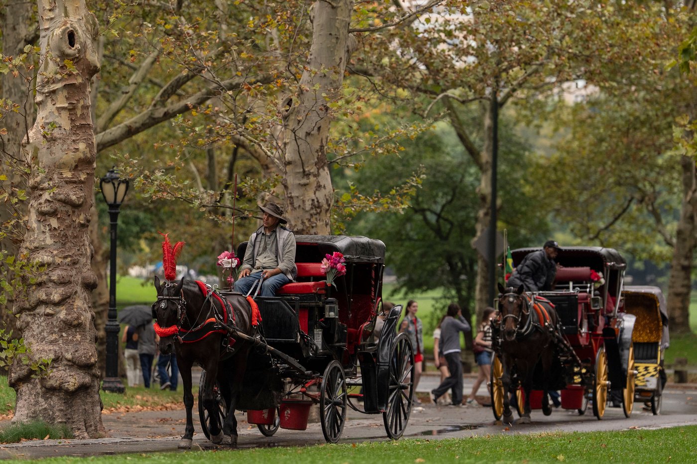 Facing a ban on horse-drawn carriages, Central Park's drivers fear for their livelihoods | iNwheels Facing a ban on horse-drawn carriages, Central Park's drivers fear for their livelihoods | iNwheels