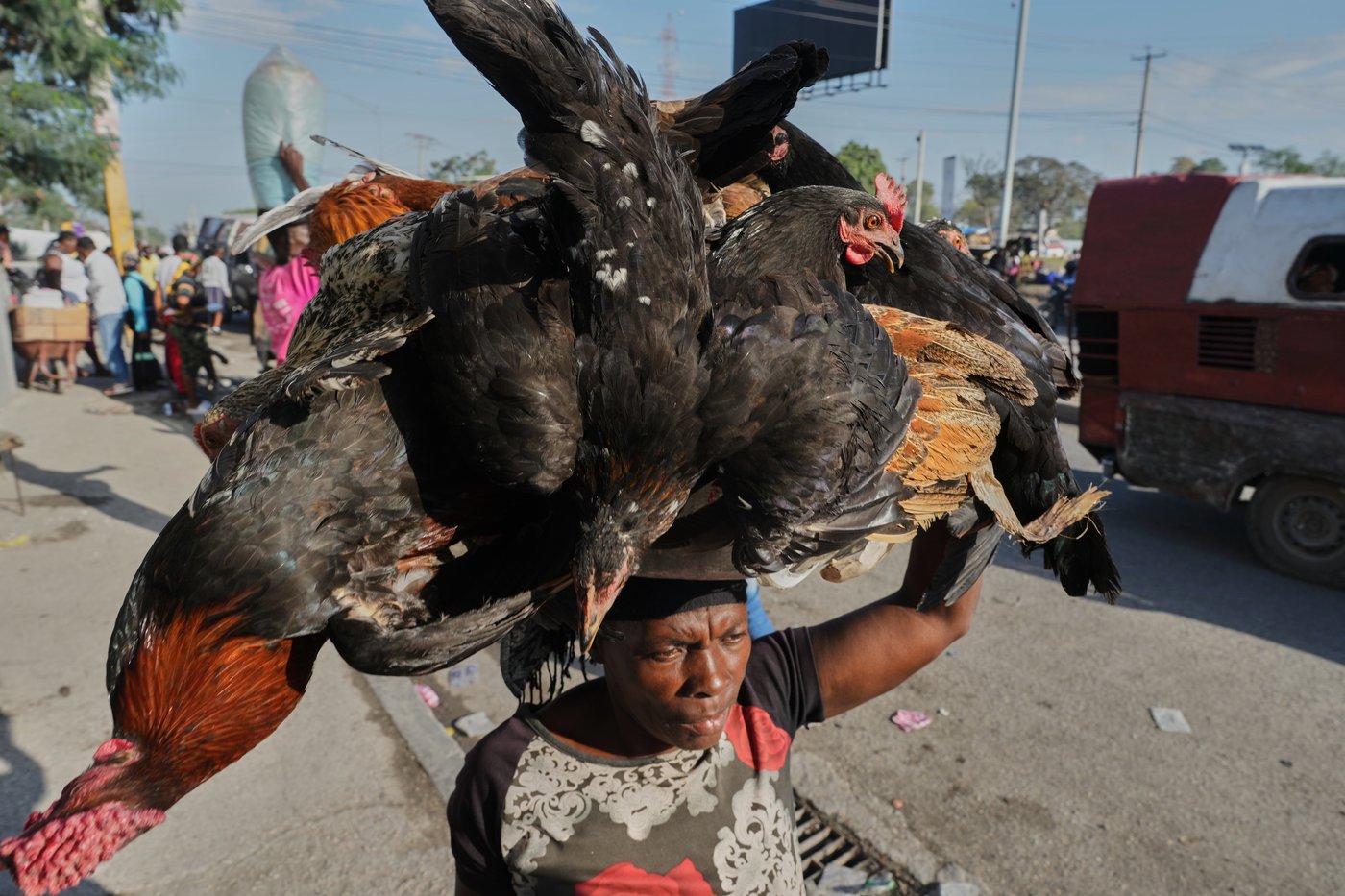 Glimmers of life appear after Haiti retakes control of a key area from powerful gangs | iNFOnews.ca