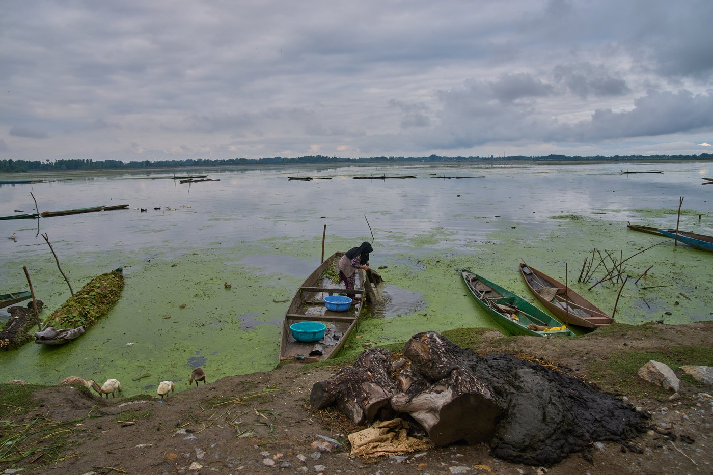 Warming climate, pollution and unplanned growth push Kashmir’s lakes toward disappearance | iNFOnews.ca