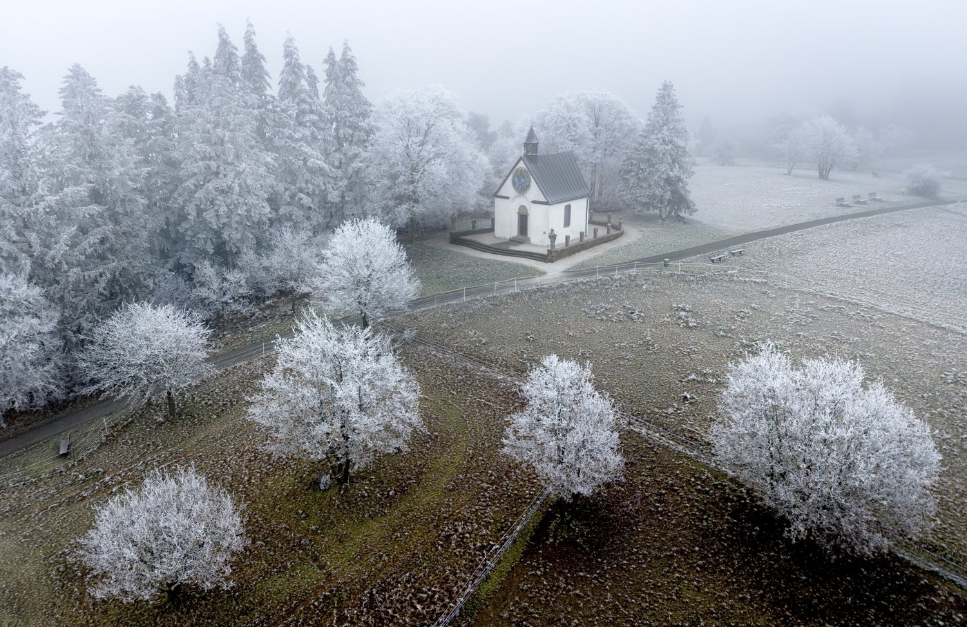 PHOTO COLLECTION: 2024 climate photos of the year | iNFOnews.ca