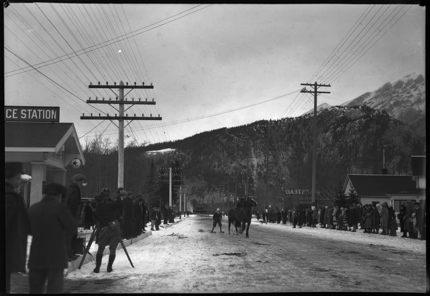 Skijoring: a sport you've likely never heard of pushed a resort town to its limit | iNFOnews.ca Skijoring: a sport you've likely never heard of pushed a resort town to its limit | iNFOnews.ca