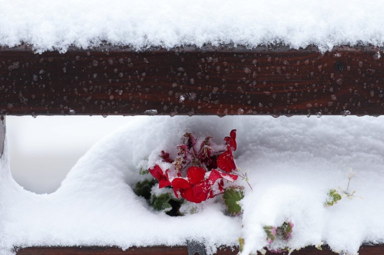Early snowfall damages power lines and snarls traffic in Bosnia and Serbia | iNFOnews.ca