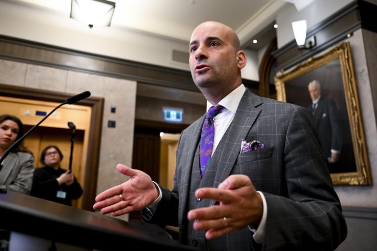 Liberals say they won't split off controversial section of 'lawful access' bill | iNFOnews.ca