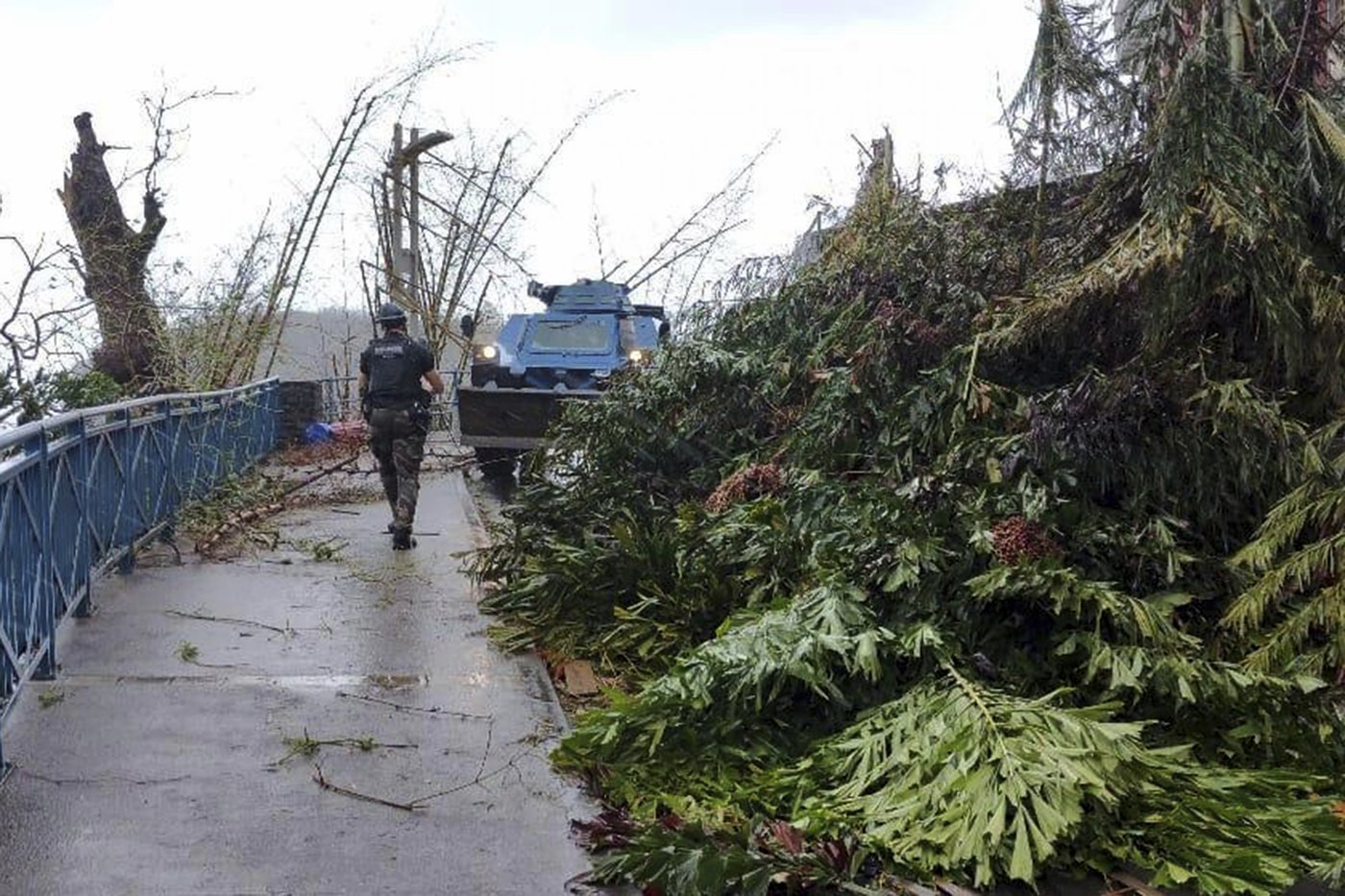 France rushes aid to Mayotte after Cyclone Chido leaves hundreds feared dead | iNFOnews.ca France rushes aid to Mayotte after Cyclone Chido leaves hundreds feared dead | iNFOnews.ca