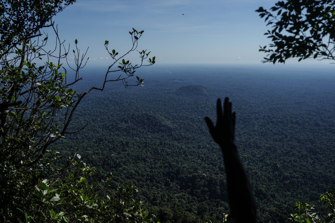Suriname’s Saamaka tribe turns to mapping and documenting in effort to protect the Amazon rainforest | iNFOnews.ca Suriname’s Saamaka tribe turns to mapping and documenting in effort to protect the Amazon rainforest | iNFOnews.ca