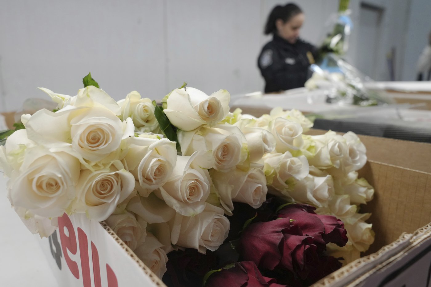 Roses are red, violets are blue, 940 million flowers are traveling (through Miami) to you | iNFOnews.ca Roses are red, violets are blue, 940 million flowers are traveling (through Miami) to you | iNFOnews.ca