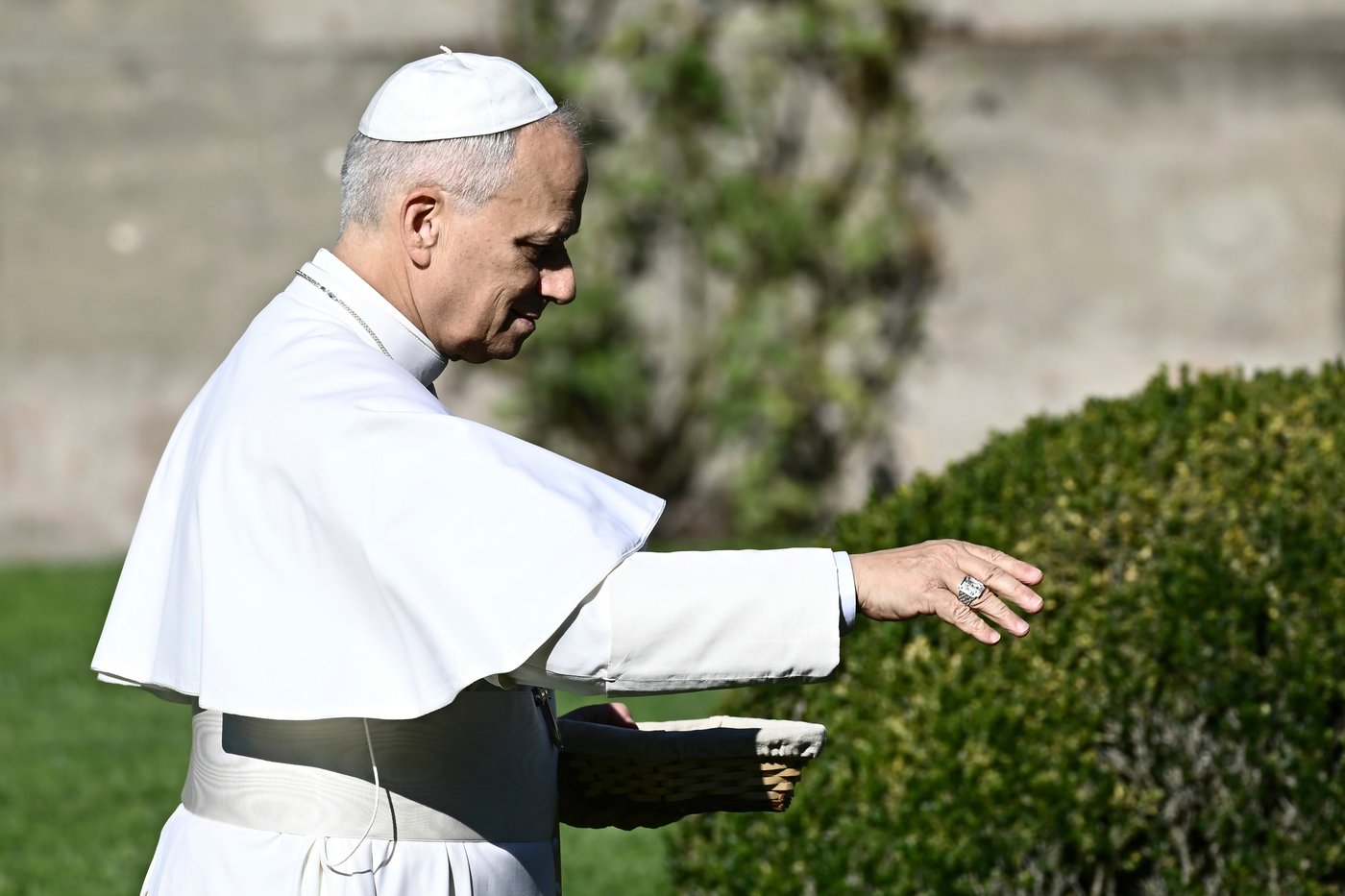 Pope feeds fish as he opens Vatican's ambitious model of sustainable farming and education | iNFOnews.ca