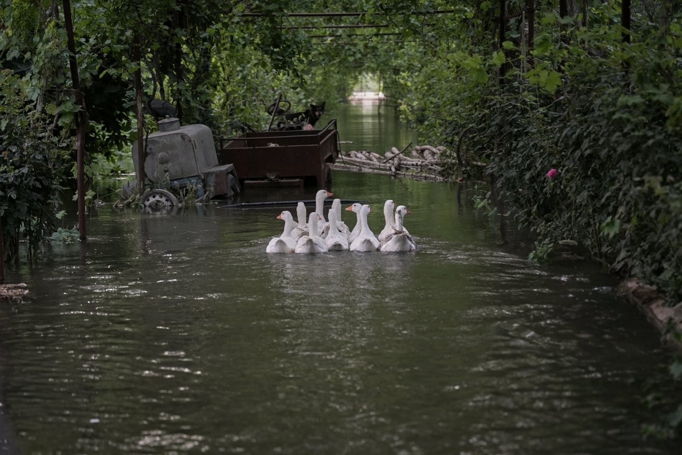 Photos of rare Euphrates River flooding forcing Syrians inland | iNFOnews.ca