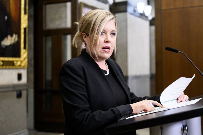 Virtual citizenship ceremonies should end, says Conservative critic | iNFOnews.ca