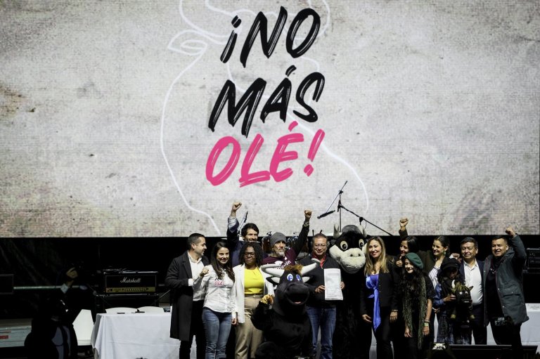 Colombia's Constitutional Court upholds bullfighting ban and adds cockfighting prohibition | iNFOnews.ca