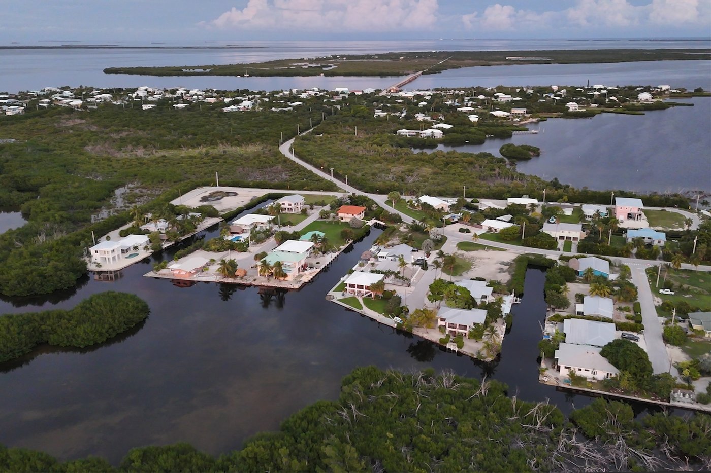 Florida’s iconic Key deer face an uncertain future as seas rise | iNFOnews.ca