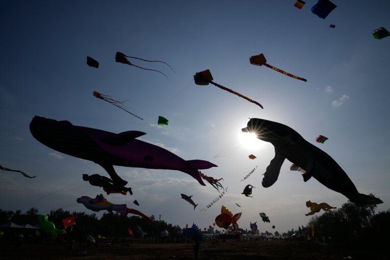 The top photos of the week by AP photojournalists | iNFOnews.ca