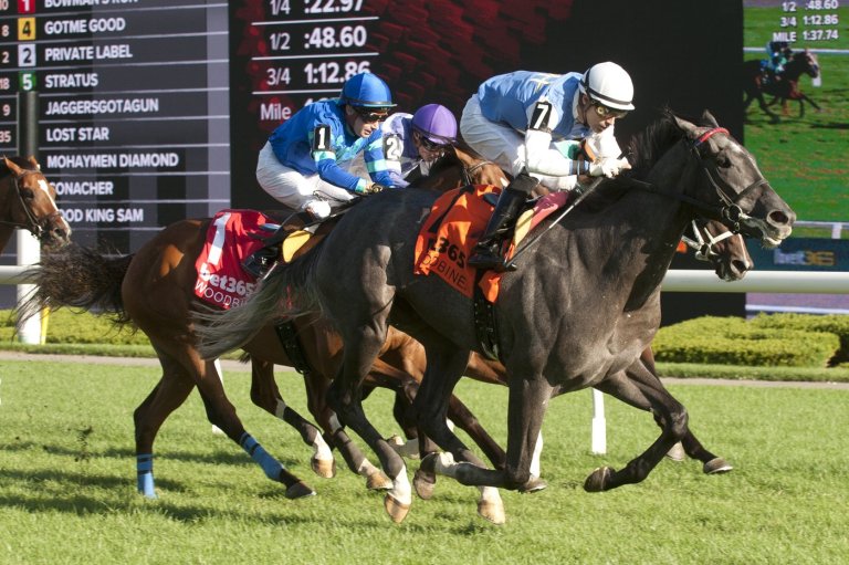 Hall of Fame trainer Attfield chases 10th career Breeders’ Stakes win with Ciunas | iNFOnews.ca