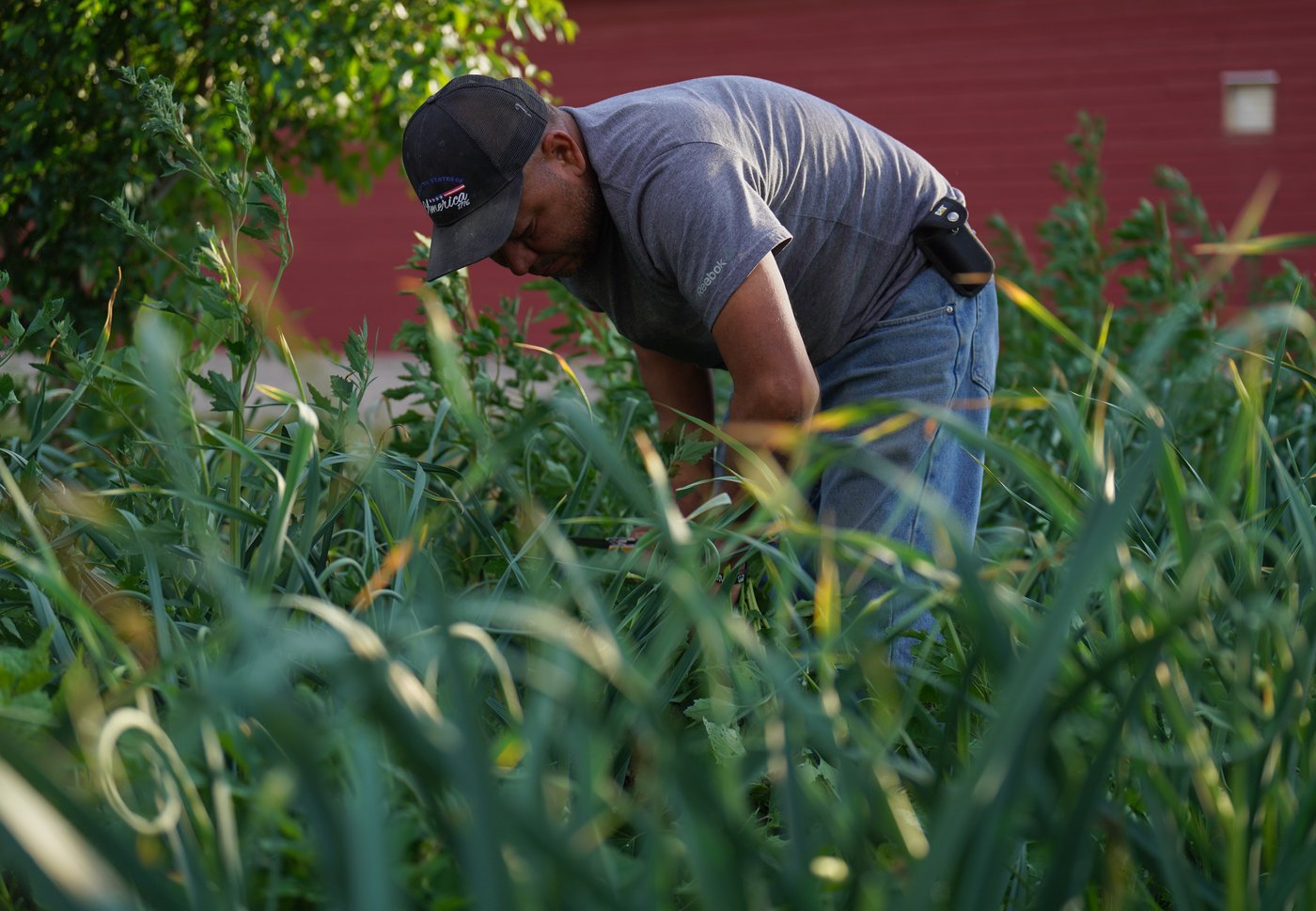For these Midwest farmers, regenerative agriculture is about more than soil health. It's spiritual | iNwine For these Midwest farmers, regenerative agriculture is about more than soil health. It's spiritual | iNwine