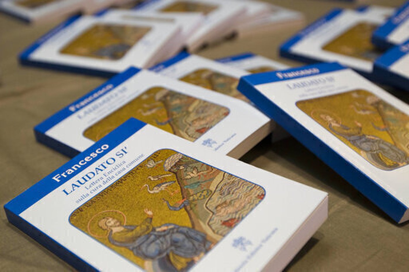 'Leo will follow Francis.' Amazon Catholics hope the new pope will protect the rain forest | iNFOnews.ca