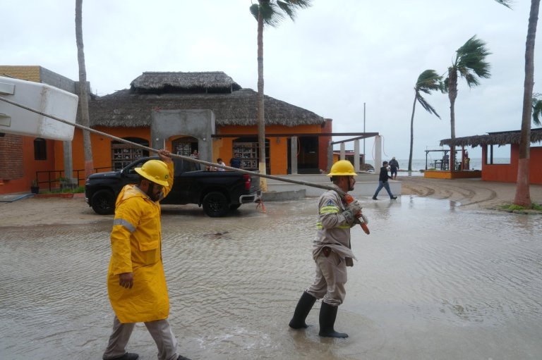 Hurricane Polo makes landfall in Baja California with forecast of 'life-threatening' winds | iNFOnews.ca