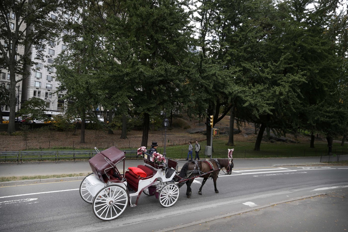 New York carriage horse's collapse spurs a criminal trial | iNFOnews.ca New York carriage horse's collapse spurs a criminal trial | iNFOnews.ca